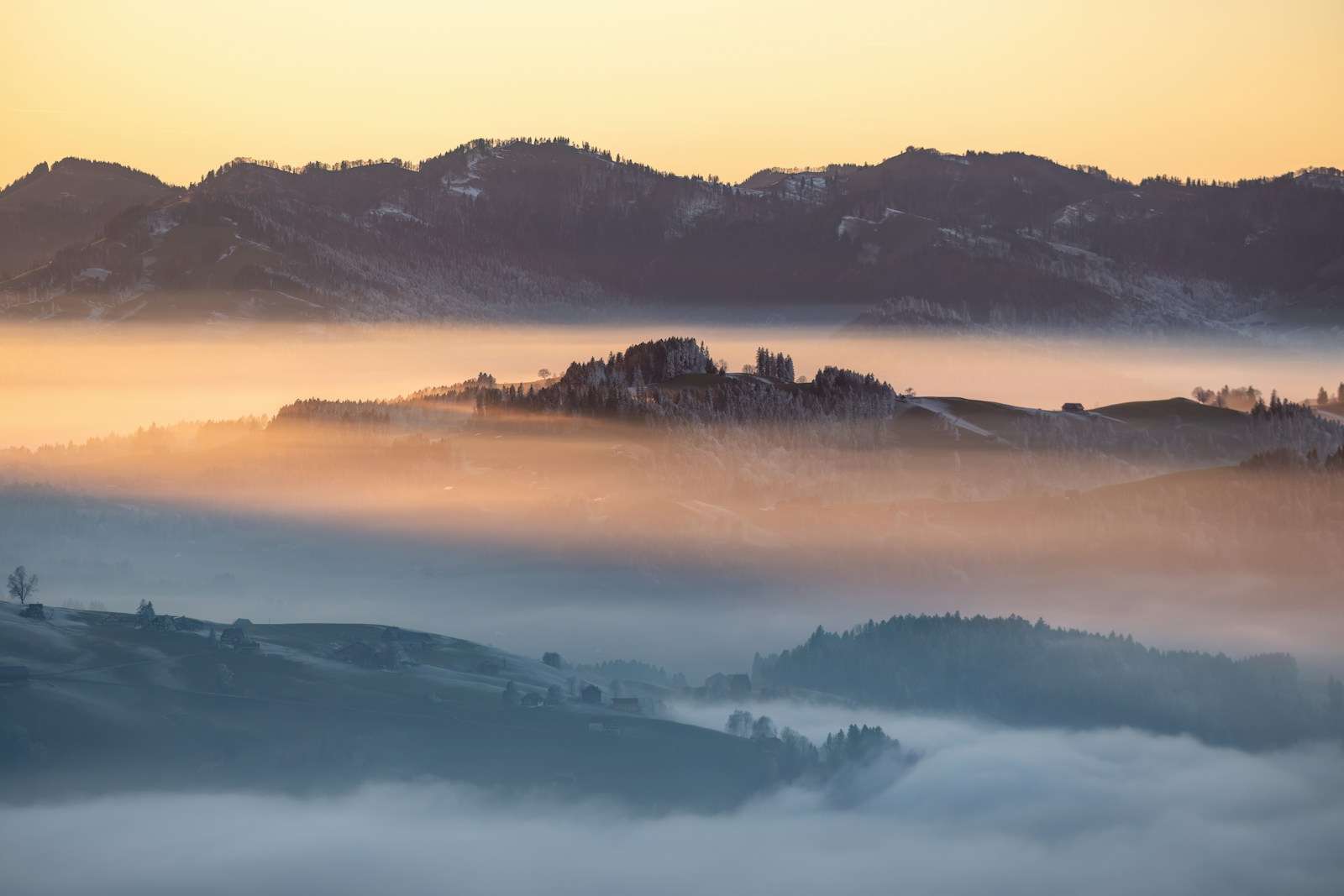 Castle ruins on a hill above the fog at sunrise